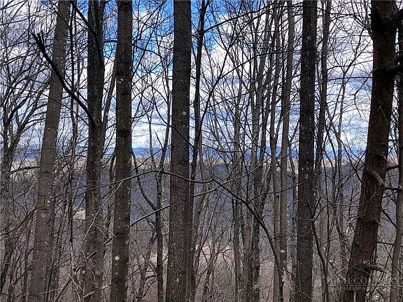 3rd image of Lot 21 Bobcat Mountain Road