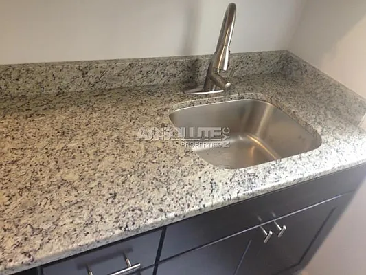 Rented by Absolute Properties of NYC | media 19