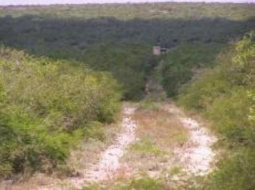 4th image of 51 ACRES HWY 16