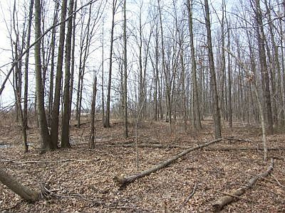 1st image of Long Spurling Rd