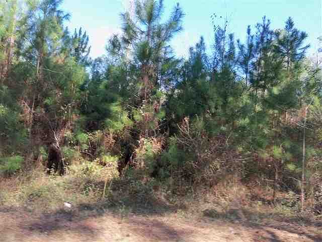 1st image of Bob Miller Rd #0