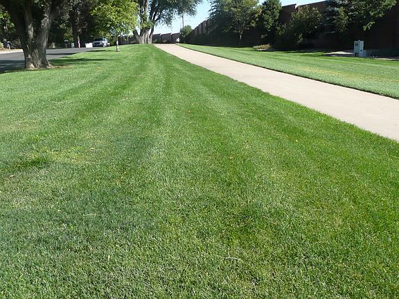 Lovely park and trail across the street from the house,
