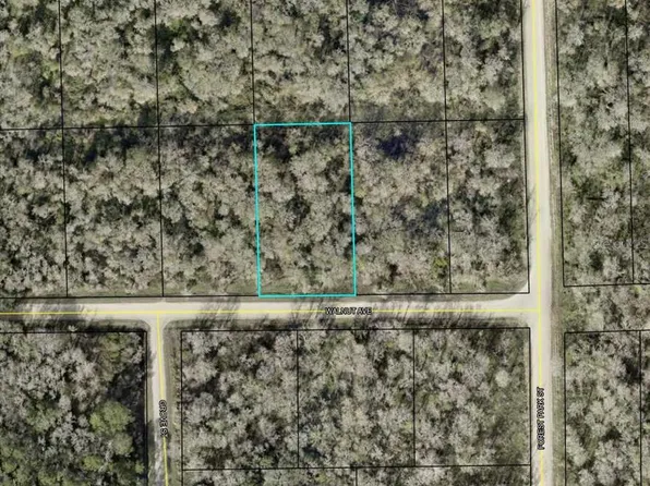 4030 Walnut Ave Lot 19, Bunnell, FL 32110