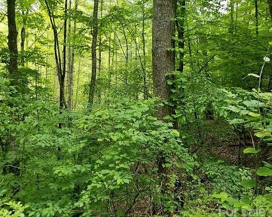 2nd image of Pack Saddle Dr