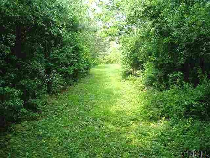 4th image of 3 BOZENKILL Road #Long Grass Lane