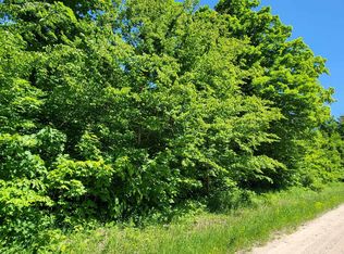 Bocook Rd, Mancelona, MI 49659