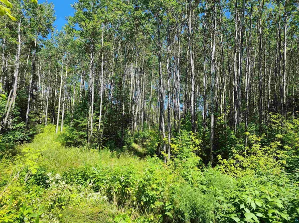 Xx Black Granite Trl, Hovland, MN 55606