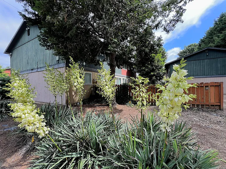 Riverside Villa — Photo 6