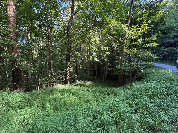 4 Mill Ridge Rd #4, Hiawassee, GA 30546