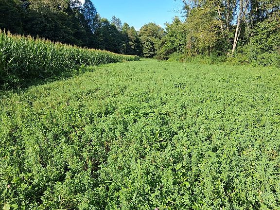 2nd image of 0 Blue Creek Rd