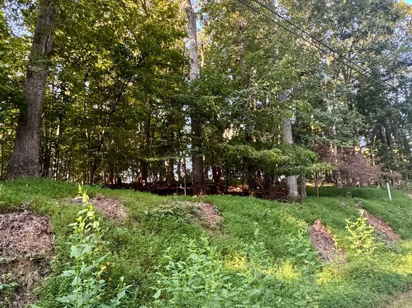 39 Lakecrest Dr, Hardy, VA 24101