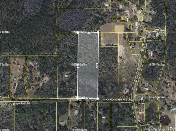 Ochlockonee River Rd, Havana, FL 32333