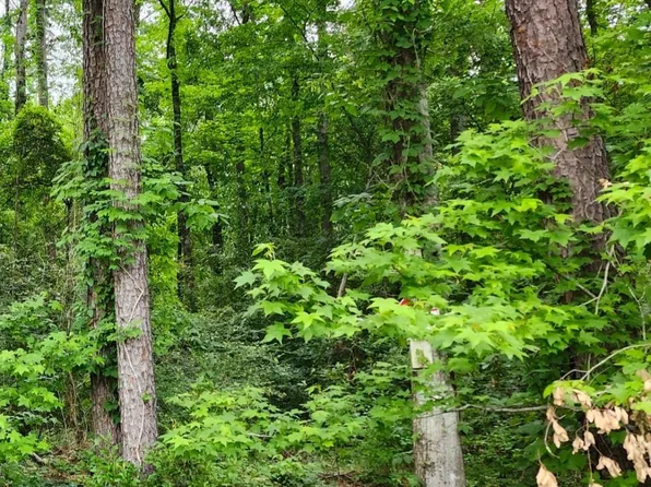 LOT 84 Baker Dr Lot 84, Denham Springs, LA 70726