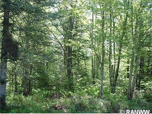 1st image of 0 Luds Ln & Blaisdell Lake Road