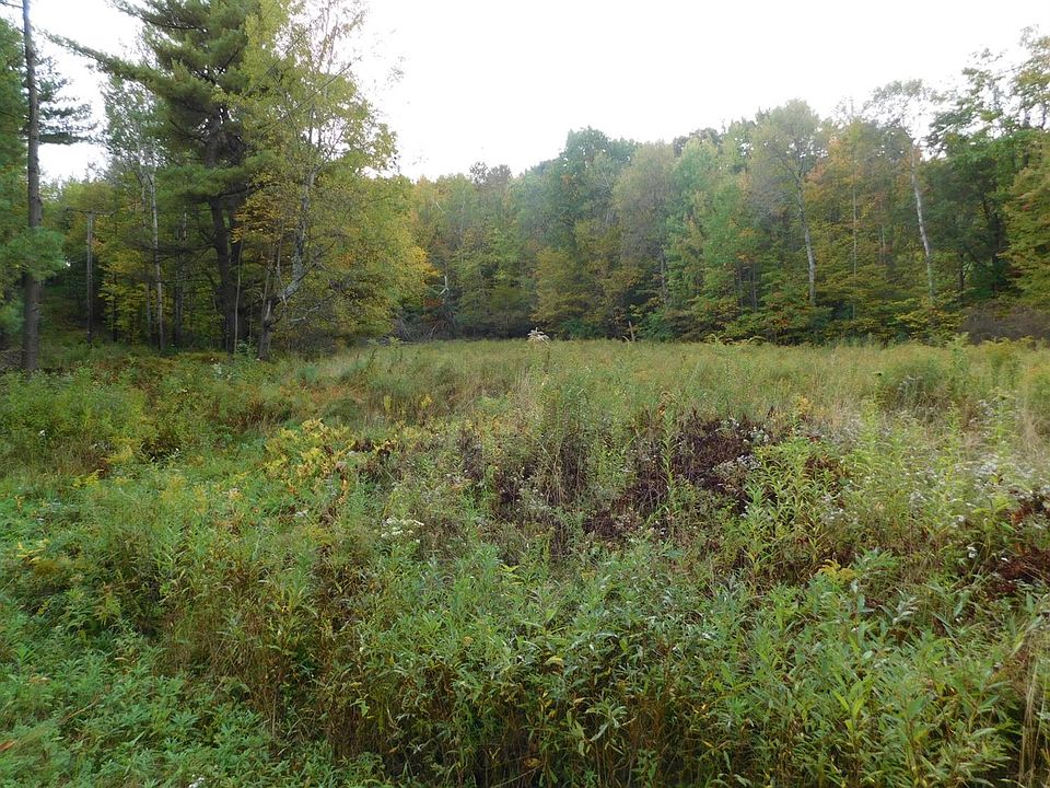 2nd image of Pine Hill Rd