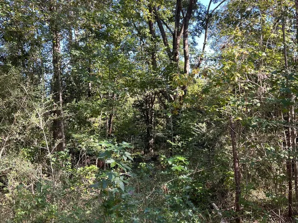 LOT 3 Jack Rd, Laurel Hill, FL 32567