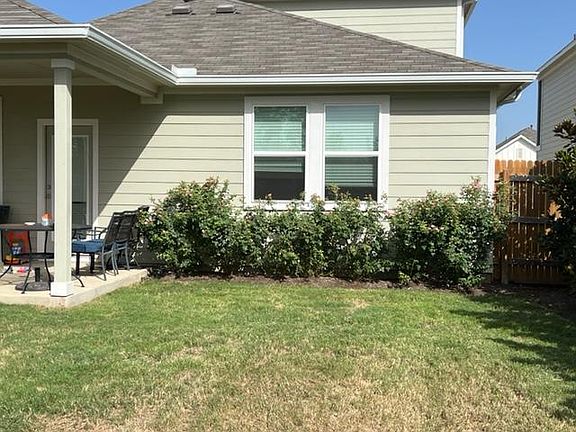 Rose bushes under master bedroom window in back yard