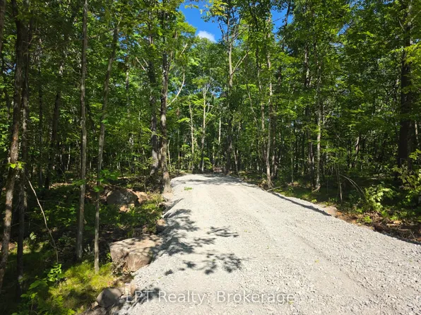 48 Marble Point Rd, Marmora And Lake, ON K0K 2M0