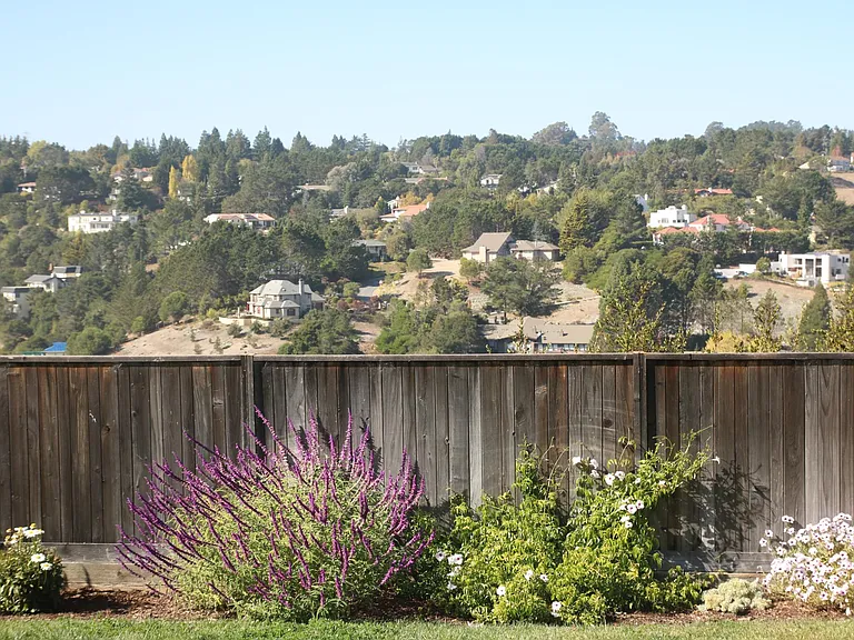 1342 Rainbow Dr — Photo 24