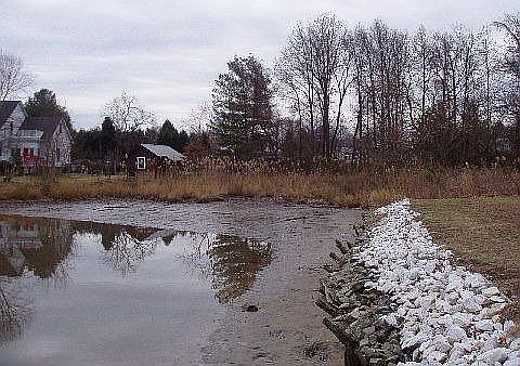 5th image of 6042 Parkers Creek Dr