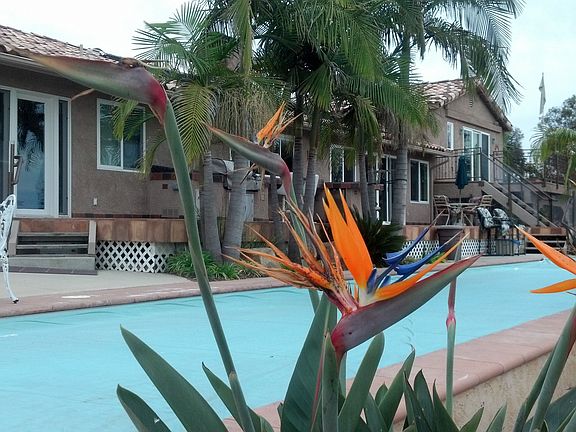 Solar Heated Salt Pool