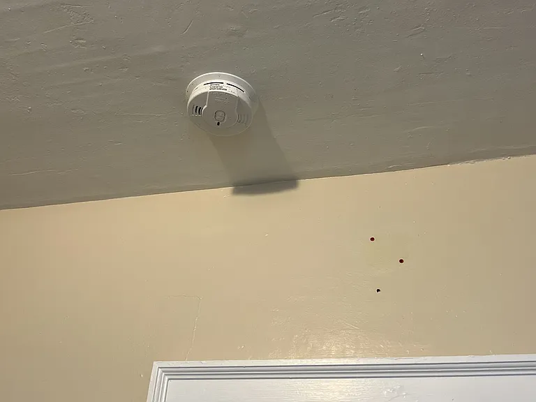 434 Winslow Ave #1 — Photo 19