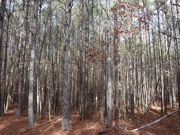 3rd image of County Road 4171 Lot Wp001