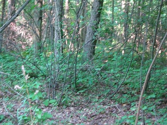 Northeastern Ohio