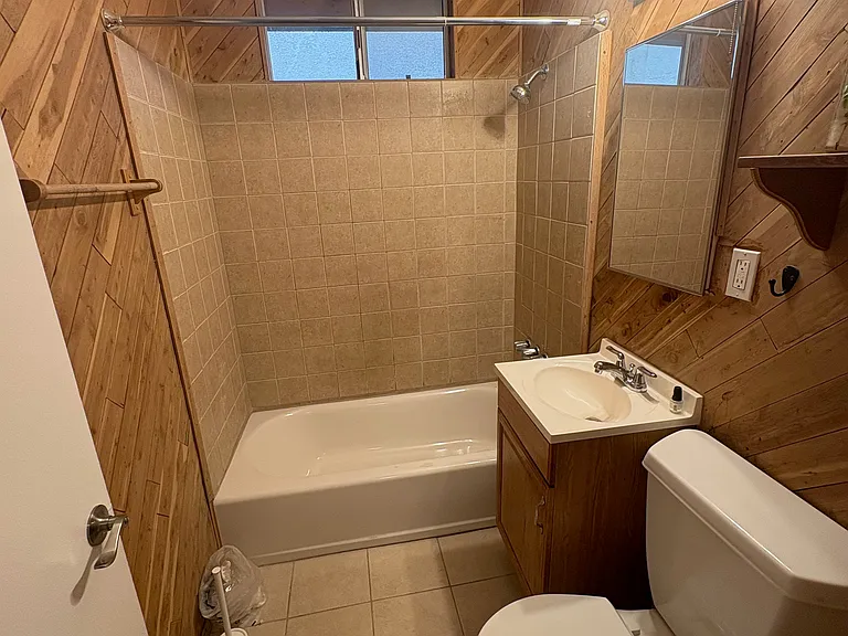 Combination shower, bathtub, sink and toilet.