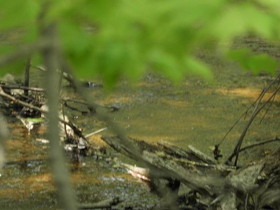 4th image of 625X Iron Lake Rd