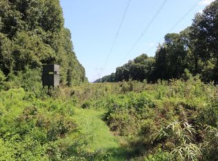 11063 Old Port Gibson Rd, Hazlehurst, MS 39083