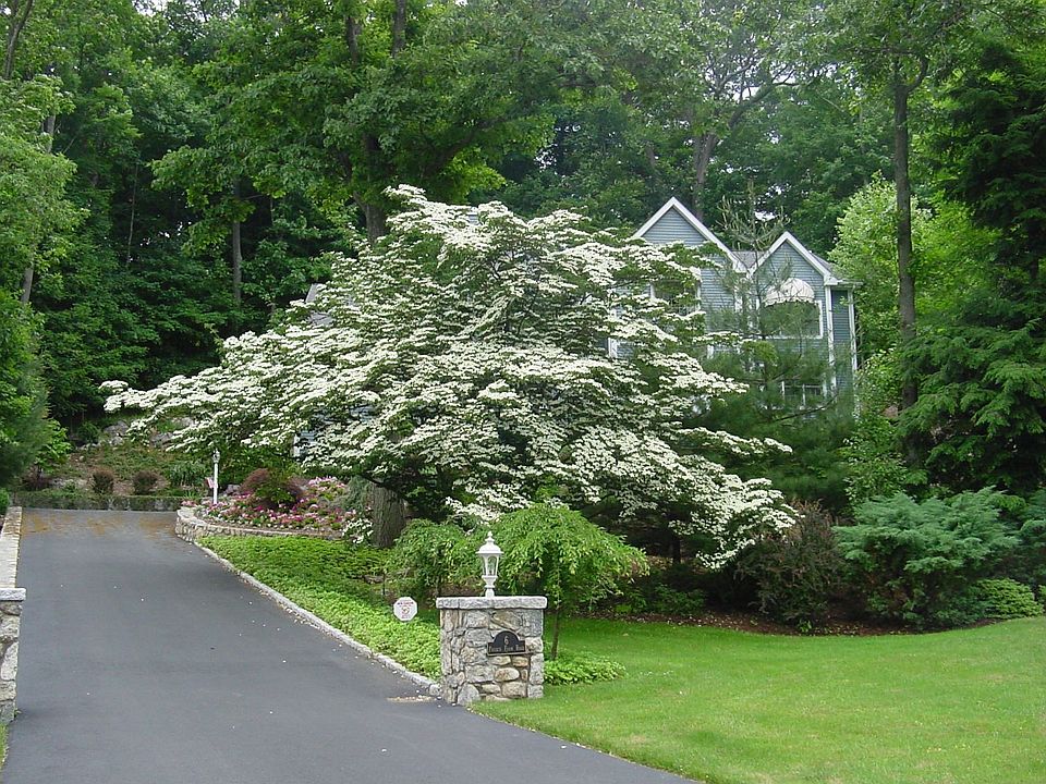 Driveway to Home - Late Spring