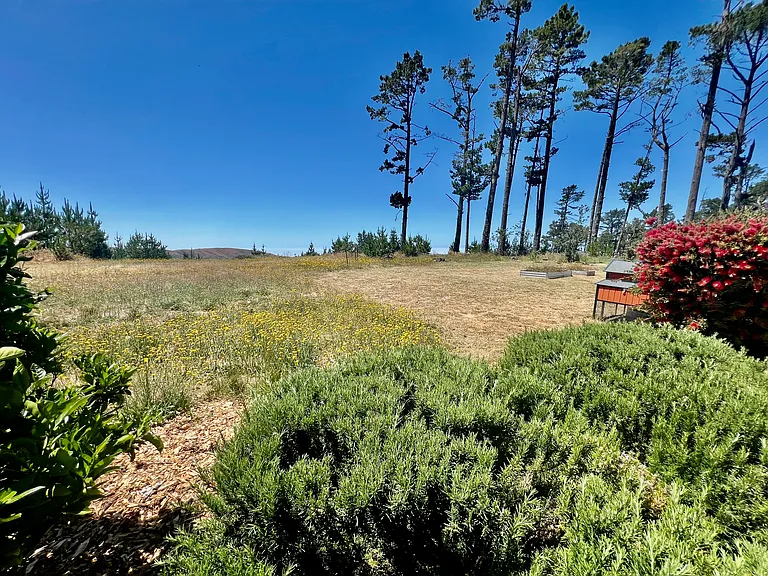 300 Corona Rd — Photo 35