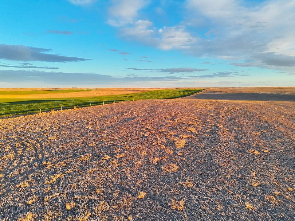 1st image of Road 14s