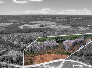 0 Wheeler Rd, Ludowici, GA 31316
