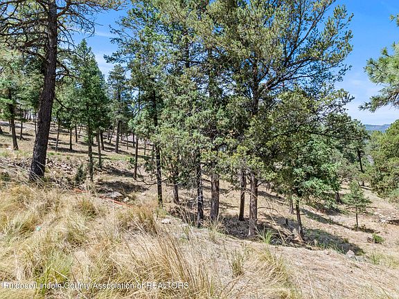 3rd image of 246 Excalibur Rd