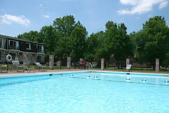 Swimming Pool and Patio