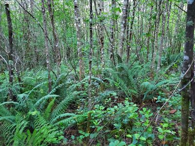 1 NE Boulder Creek Rd, Camas, WA, 98607