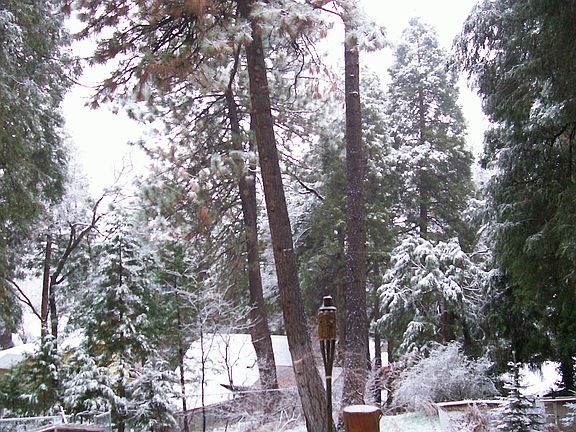 2nd image of 39540 Prospect Dr