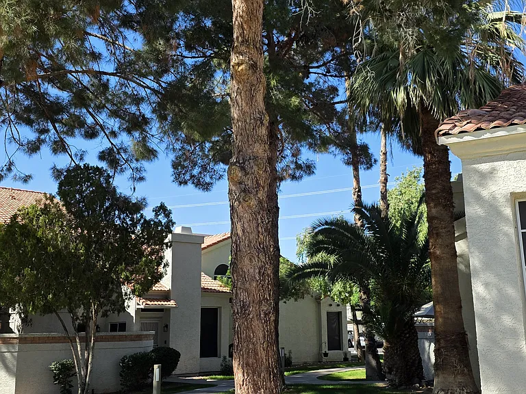 1717 E Union Hills Dr #1095 — Photo 31