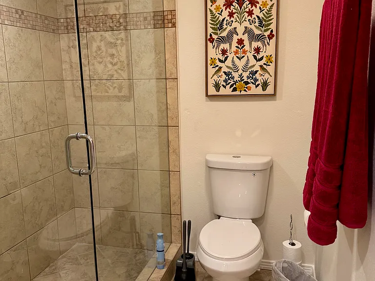 Primary water closet area with large walk-in shower.