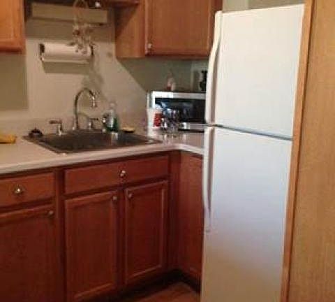2nd image of 1560 N Sandburg Ter APT 4307