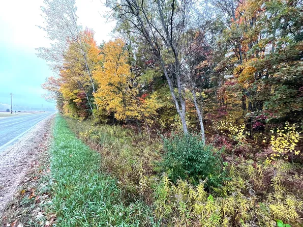 PARCEL Bosschem Rd #H, Wellston, MI 49689