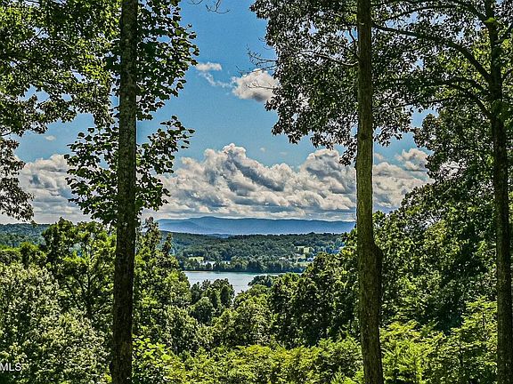 homes for sale in deerfield resort tn