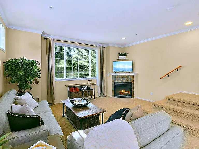 Gas fireplace, Roku TV, West window overlooking trees