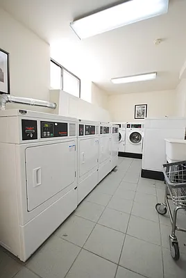 Rented by Bold New York | media 6