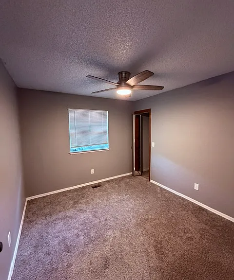 10013 Carnie Cir — Photo 17