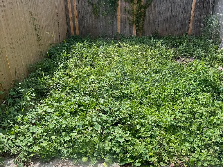 2242 N Carlisle St — Photo 18