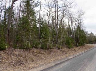 15967 Lakeview Dr, Wolverine, MI 49799