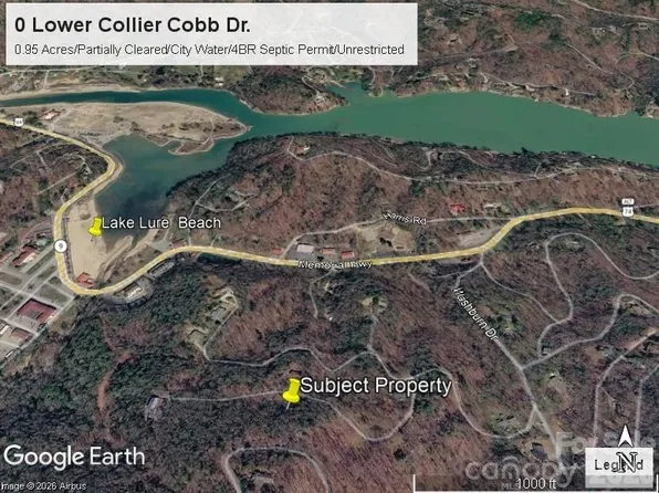 0 Lower Collier Cobb Dr, Lake Lure, NC 28746